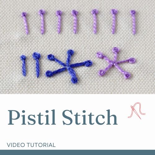 Tarjeta de vídeo Pistil Stitch