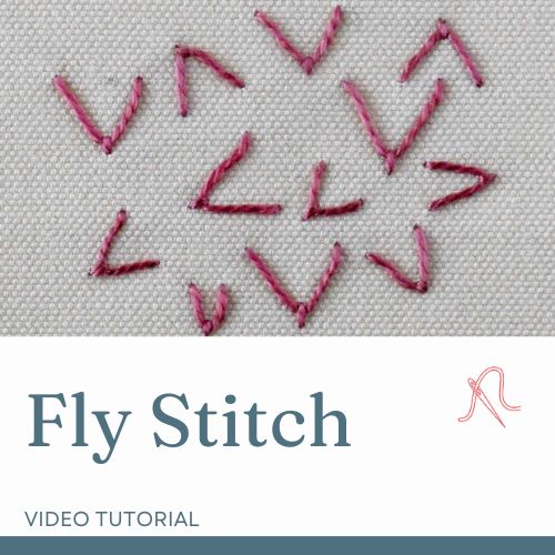 Tarjeta de vídeo Fly Stitch