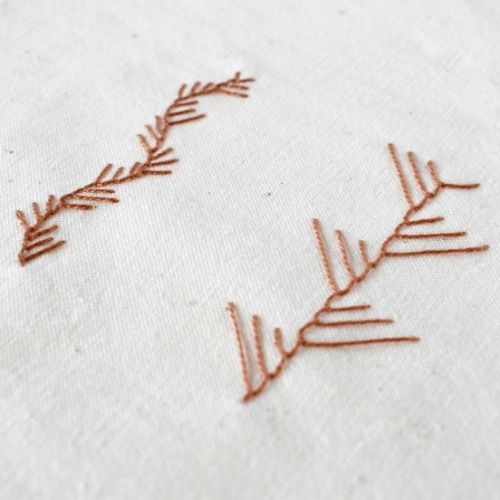 La punta del culantrillo